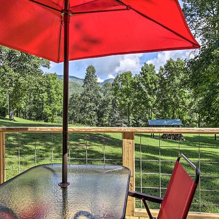 Tiny Home In Hayesville With Deck Near Trails! Exterior photo